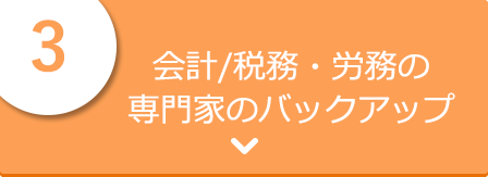 会計/税務・労務の専門家のバックアップ