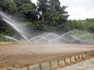 【年収550万円～＆退職金あり】経理＠マイカー通勤OK≪年間休日128日≫